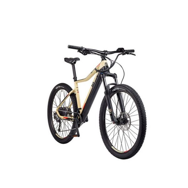 22 inch frame electric bike